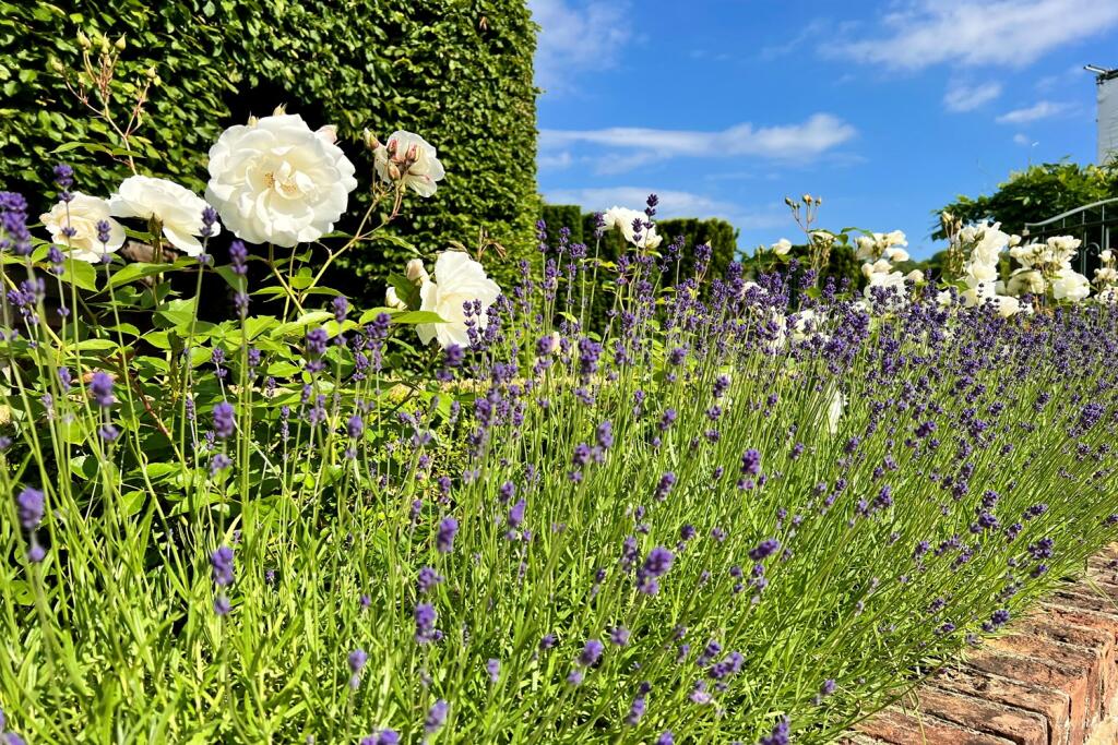 Additional image 22 of High Street, Amberley, West Sussex, BN18