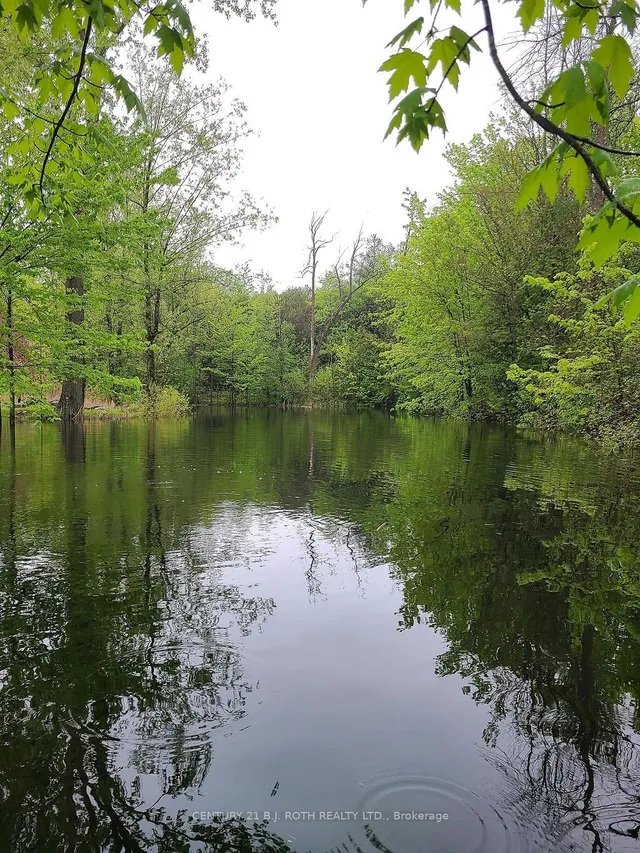 Additional image 38 of 10457 Darkwood Rd