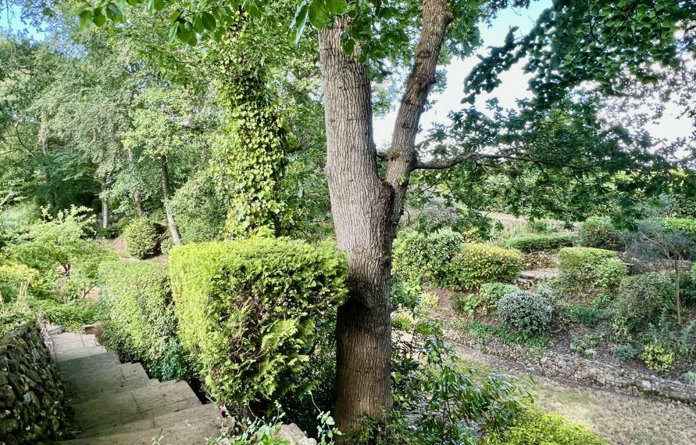 Additional image 33 of Warren Close, Ringwood, BH24 2AJ