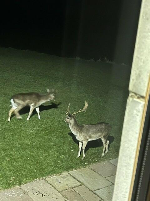 Additional image 39 of Coal Pit Road, Smithills, Bolton, BL1