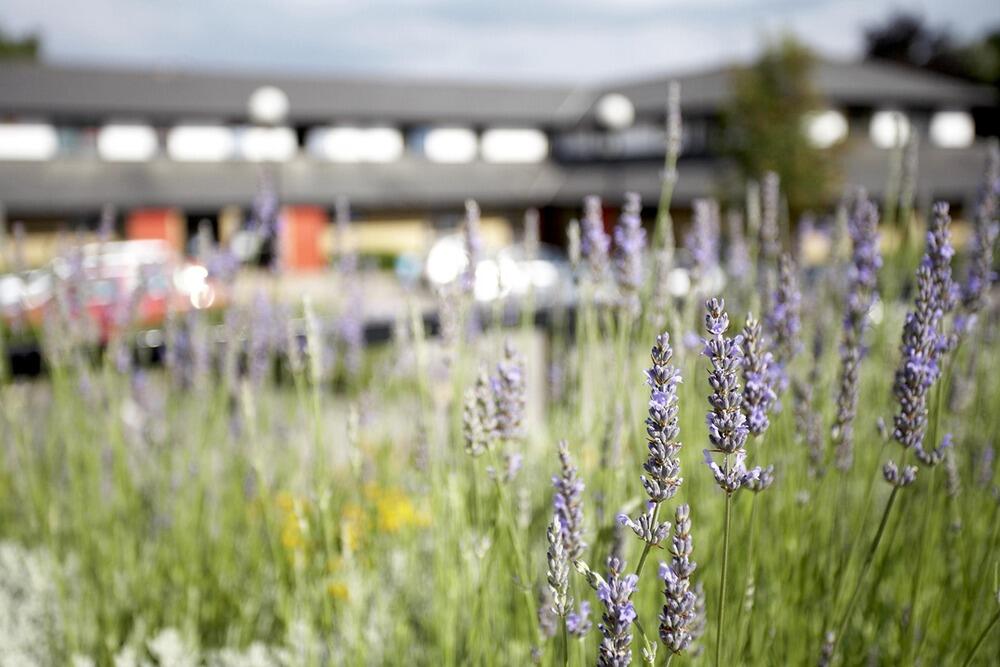 Additional image 10 of Parkview Court St Paul's Road, Shipley