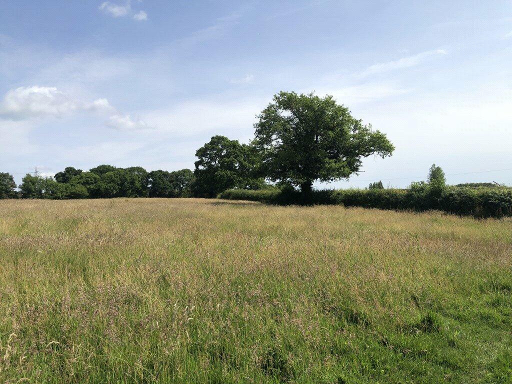 Additional image 9 of Bodle Street Green, Hailsham