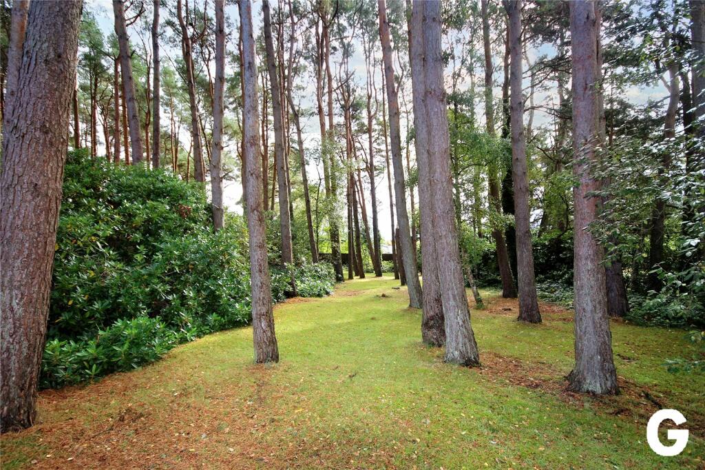 Additional image 10 of Lions Lane, Ashley Heath, Ringwood, Hampshire, BH24