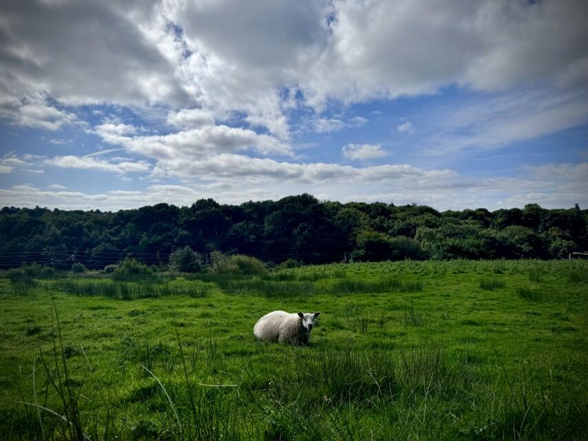 Additional image 28 of 2 Woodsleigh Coppice, Ladybridge Lane, Bolton, BL1 5XR