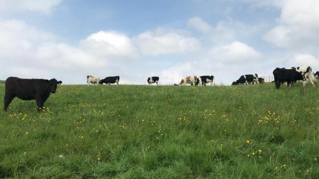 Additional image 16 of Chorley Old Road, Horwich, Bolton, BL6