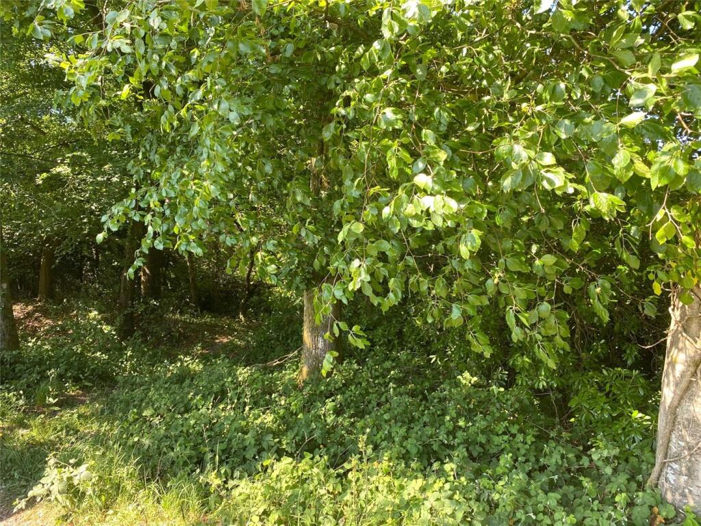 Additional image 2 of South Drive, Ossemsley, New Milton, Hampshire, BH25