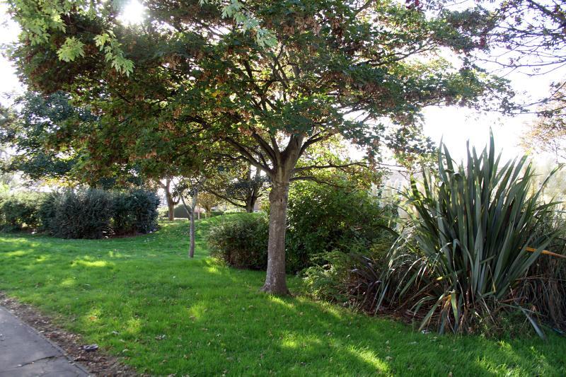 Additional image 16 of The Haven, Littlehampton, West Sussex