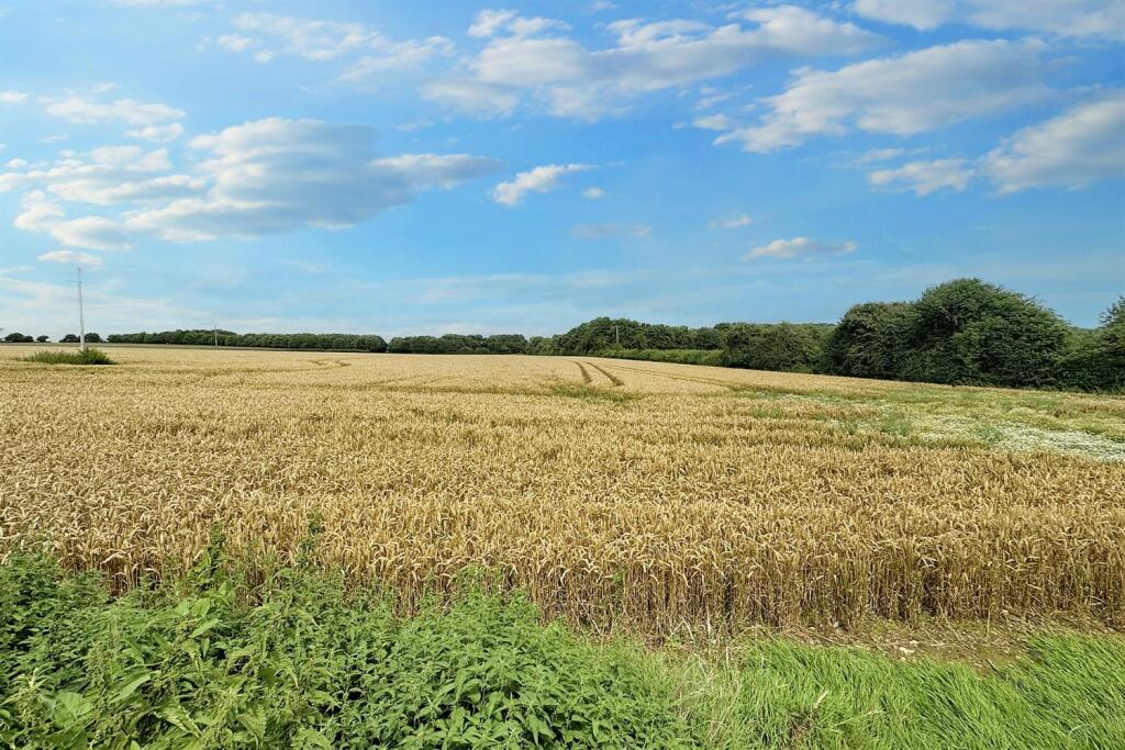 Additional image 19 of Horton