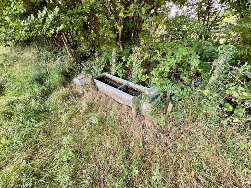 Additional image 4 of Land at Colehill Lane, Wimborne, Dorset, BH21 7AP