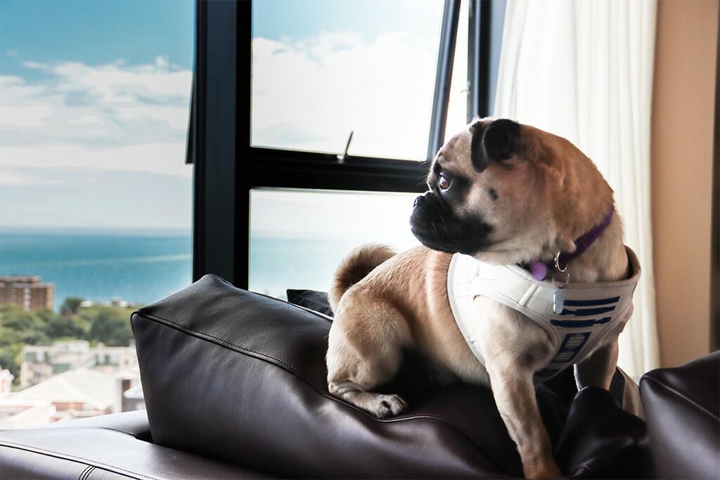 Additional image 15 of Holdenhurst Road, Bournemouth, Dorset, BH8