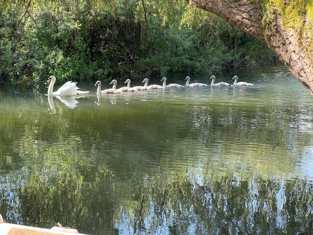 Additional image 31 of Salisbury Road, Winkton, Christchurch, Dorset, BH23