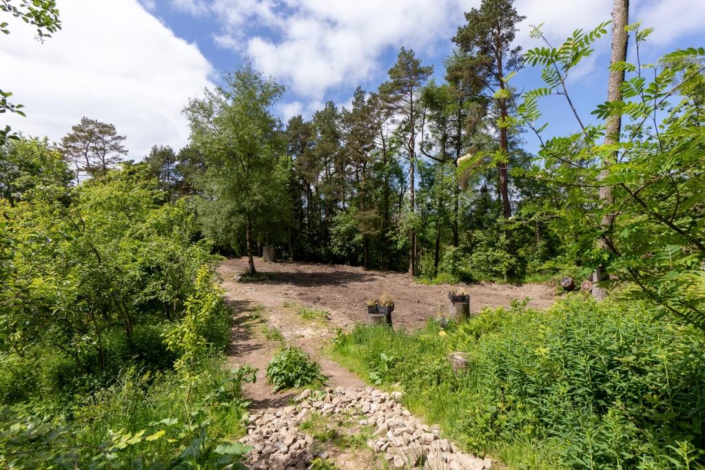 Additional image 13 of Settle, North Yorkshire, BD24