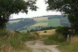 Additional image 18 of 7 The Steddles, Yapton