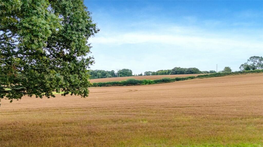 Additional image 26 of Holt Lane, Holt, Wimborne, Dorset, BH21