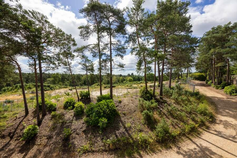 Additional image 6 of BDOC , Hurn Road, Matchams, Ringwood