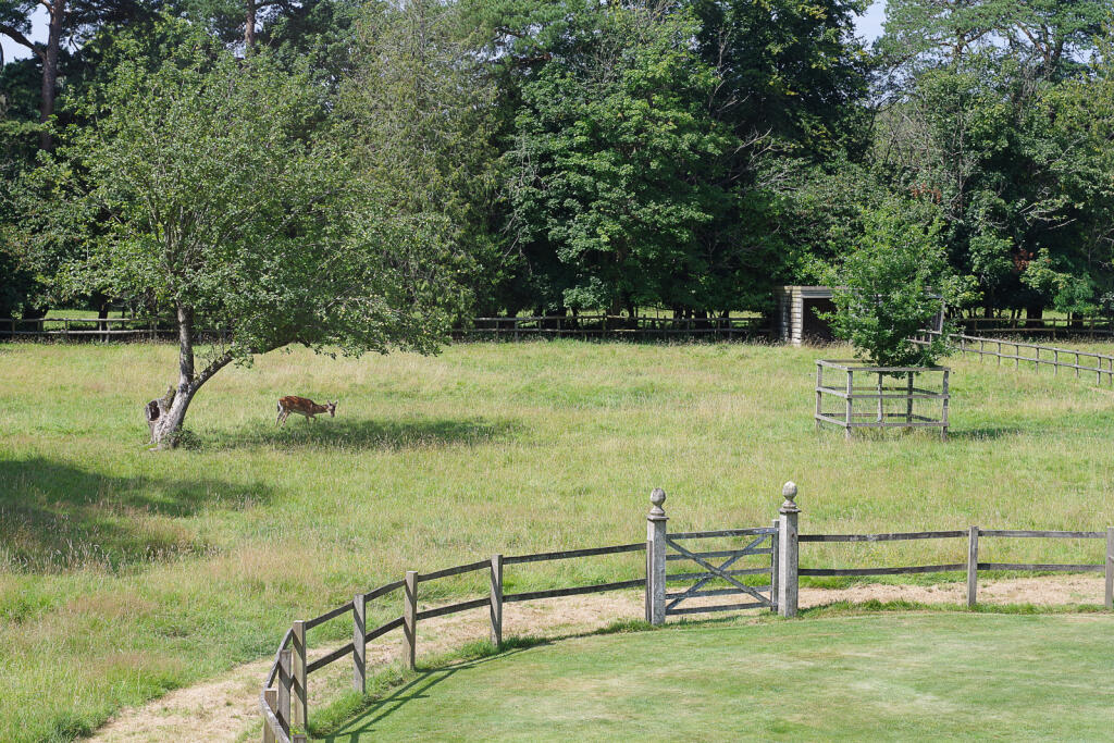 Additional image 38 of Southfield Lane, Burley, Ringwood, Hampshire, BH24