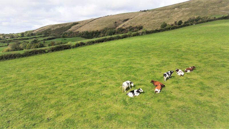 Additional image 41 of KNITSON - QUIET RURAL LOCATION WITH PADDOCK & AMAZING VIEWS