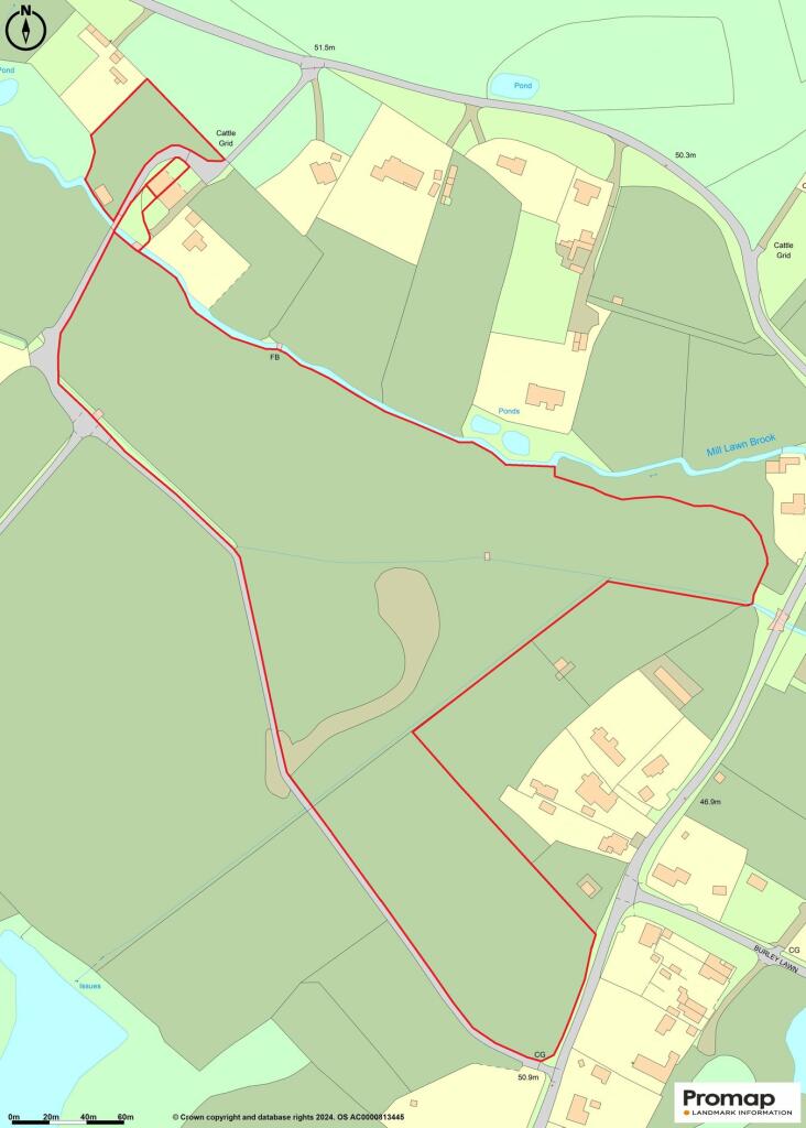 Additional image 32 of Forest Road, Burley, Ringwood, BH24