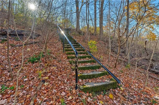 Additional image 50 of 767 Alexander Rd