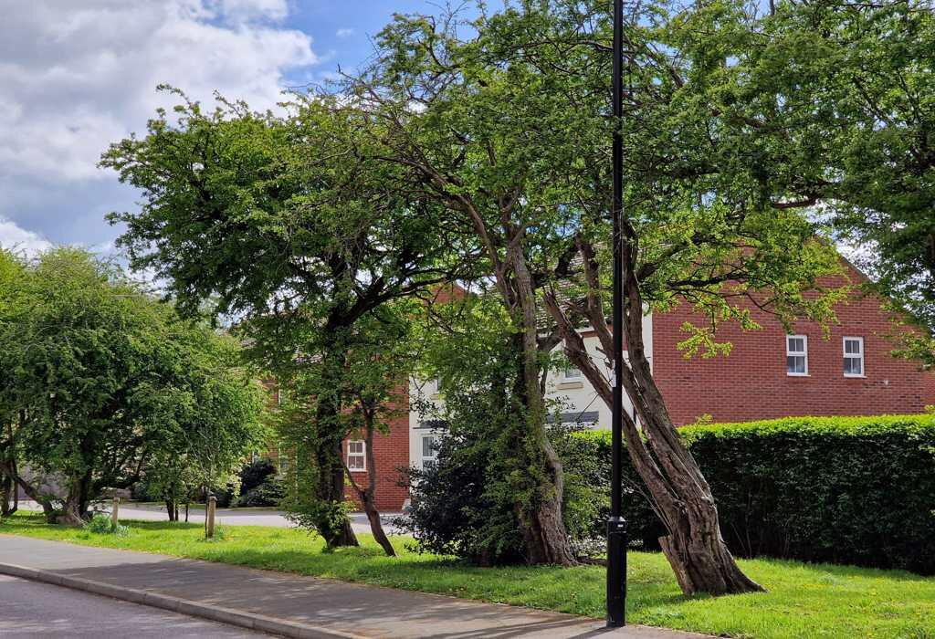 Additional image 4 of Harrison Crescent, Littlehampton, West Sussex