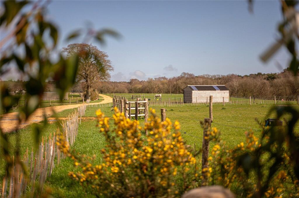 Additional image 36 of Waterditch Road, Bransgore, Christchurch, Dorset, BH23