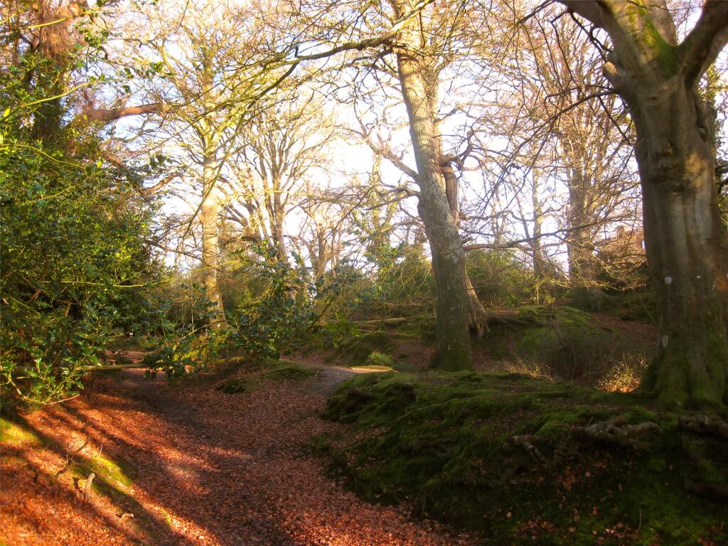 Additional image 15 of Pound Lane, Burley, Ringwood, Hampshire, BH24