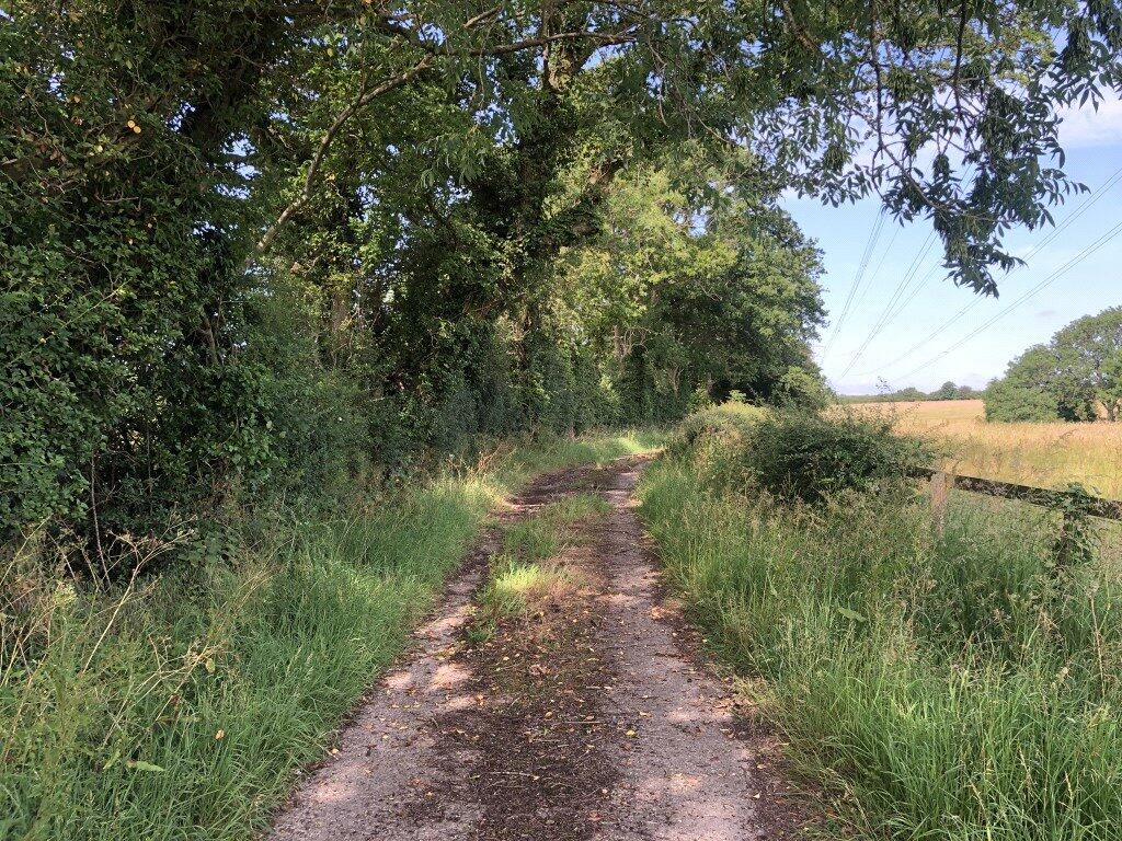 Additional image 13 of Bodle Street Green, Hailsham