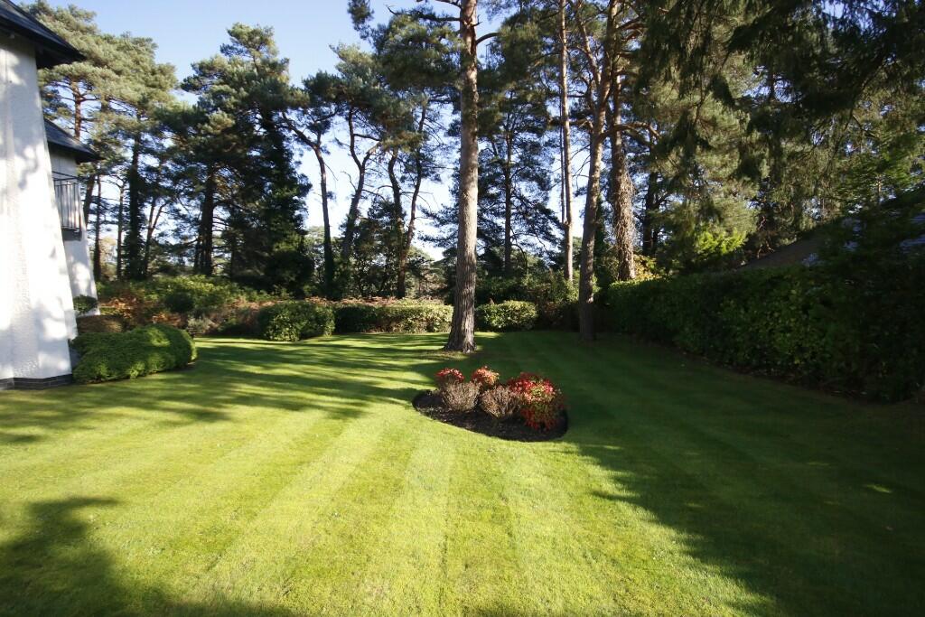 Additional image 20 of BH22 GOLF LINKS ROAD, Ferndown