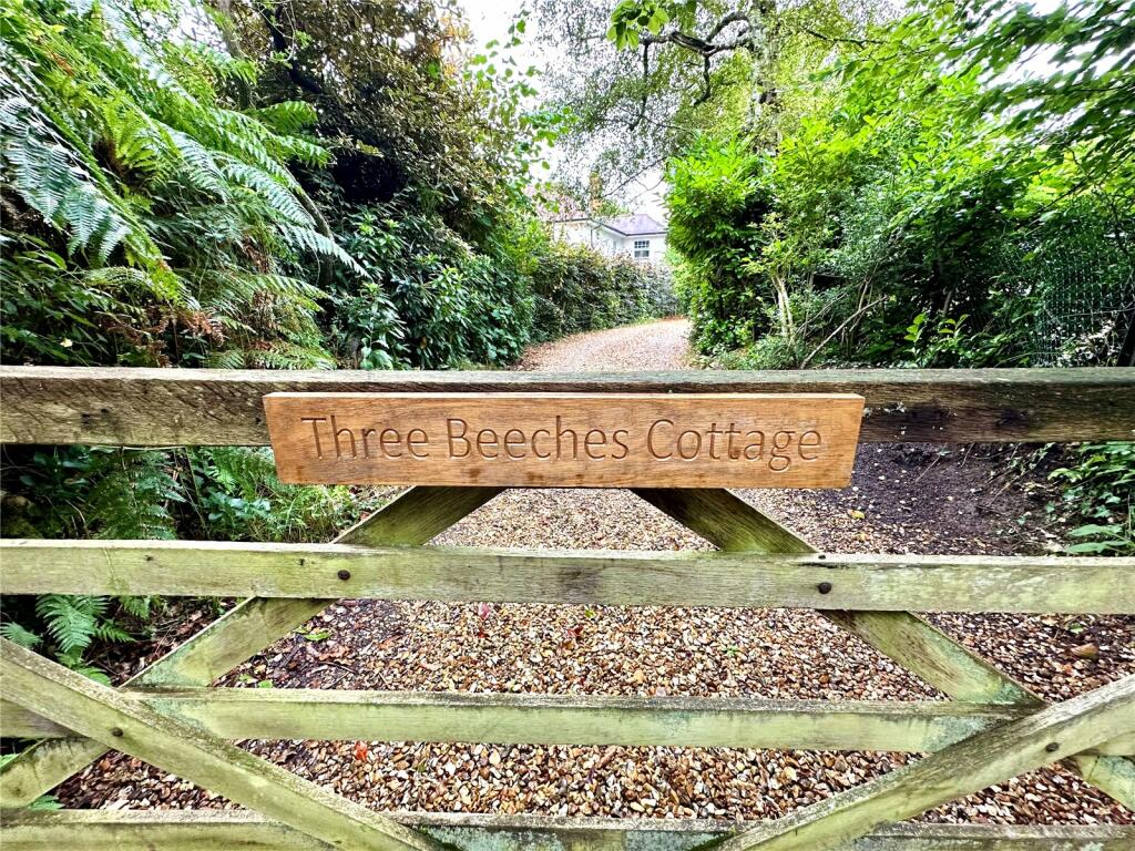 Additional image 21 of Bisterne Close, Burley, Ringwood, Hampshire, BH24