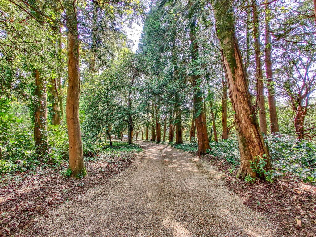 Additional image 37 of Tyrells Lane, Burley, Ringwood, BH24