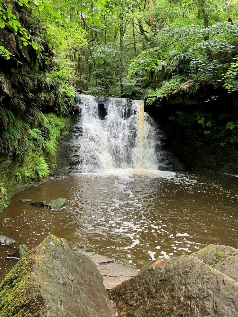 Goit Stock Wood, Harden, Bingley, West Yorkshire, BD16