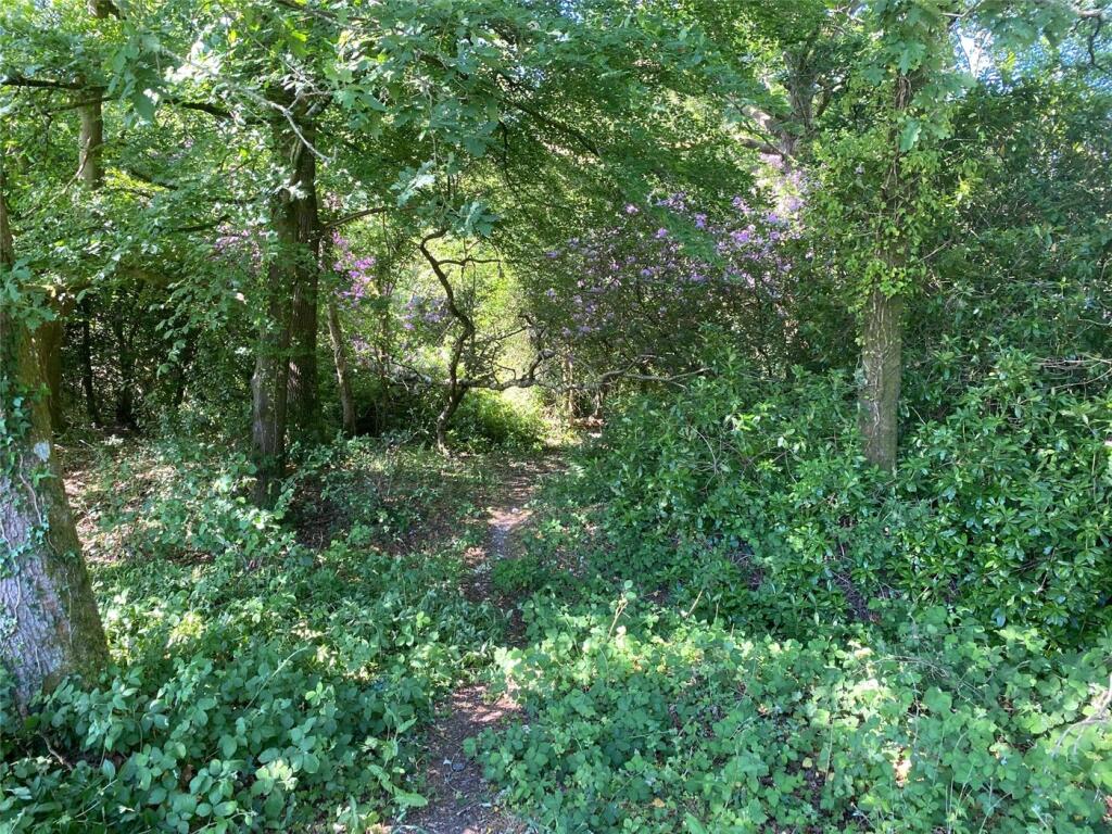 Additional image 3 of South Drive, Ossemsley, New Milton, Hampshire, BH25