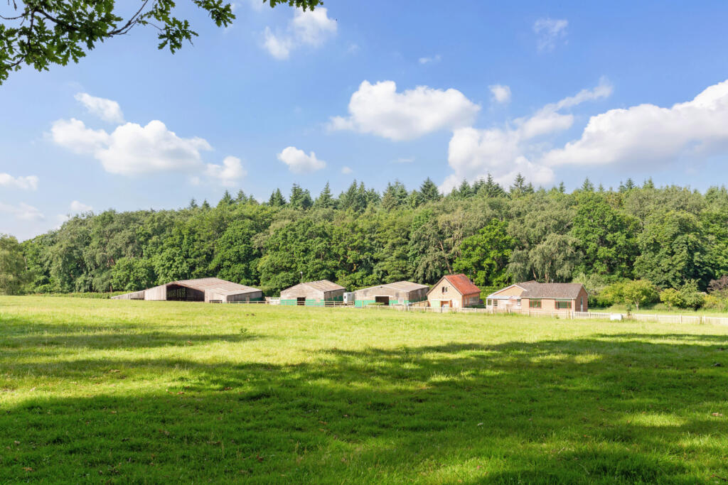 Additional image 3 of Moyles Court, Rockford, Ringwood, Hampshire, BH24