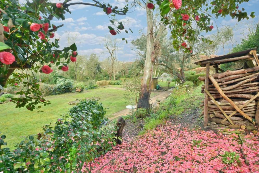 Additional image 24 of Giddylake, Wimborne, Dorset, BH21 2QU