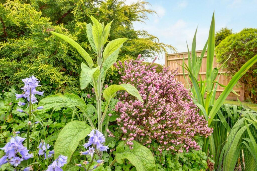 Additional image 21 of Carters Corner, BN27