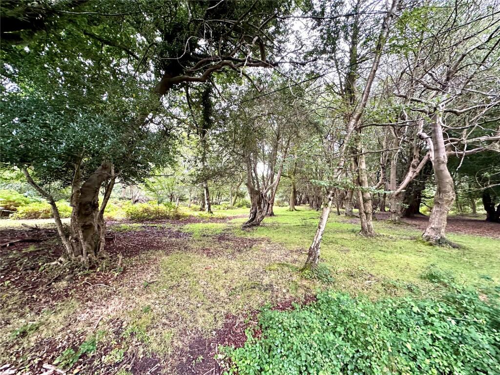 Additional image 23 of Bisterne Close, Burley, Ringwood, Hampshire, BH24