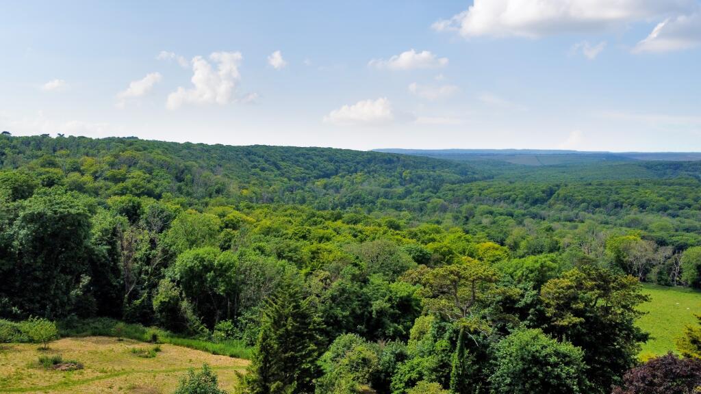 Additional image 36 of Taperfield, Jevington Road, Friston, Eastbourne