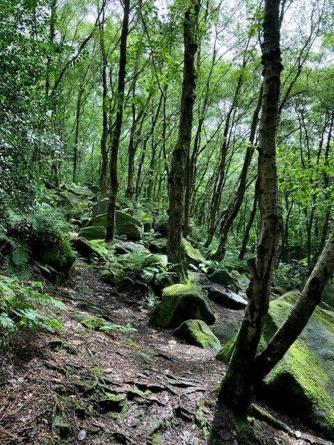 Additional image 4 of Goit Stock Wood, Harden, Bingley, West Yorkshire, BD16