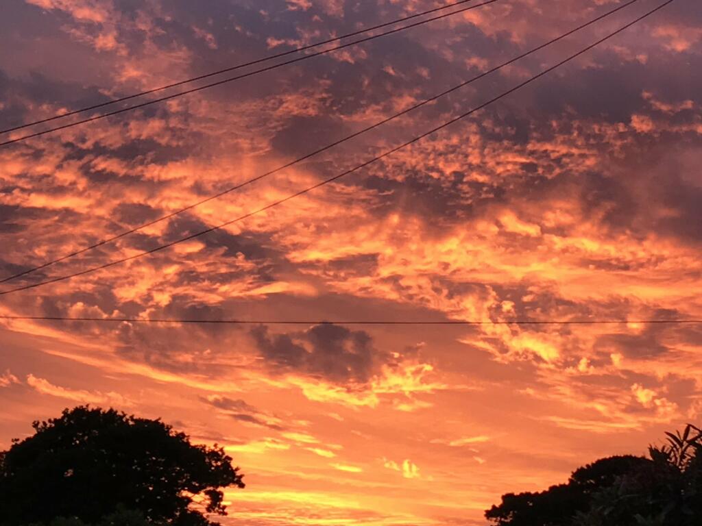 Additional image 13 of Farm Lane south