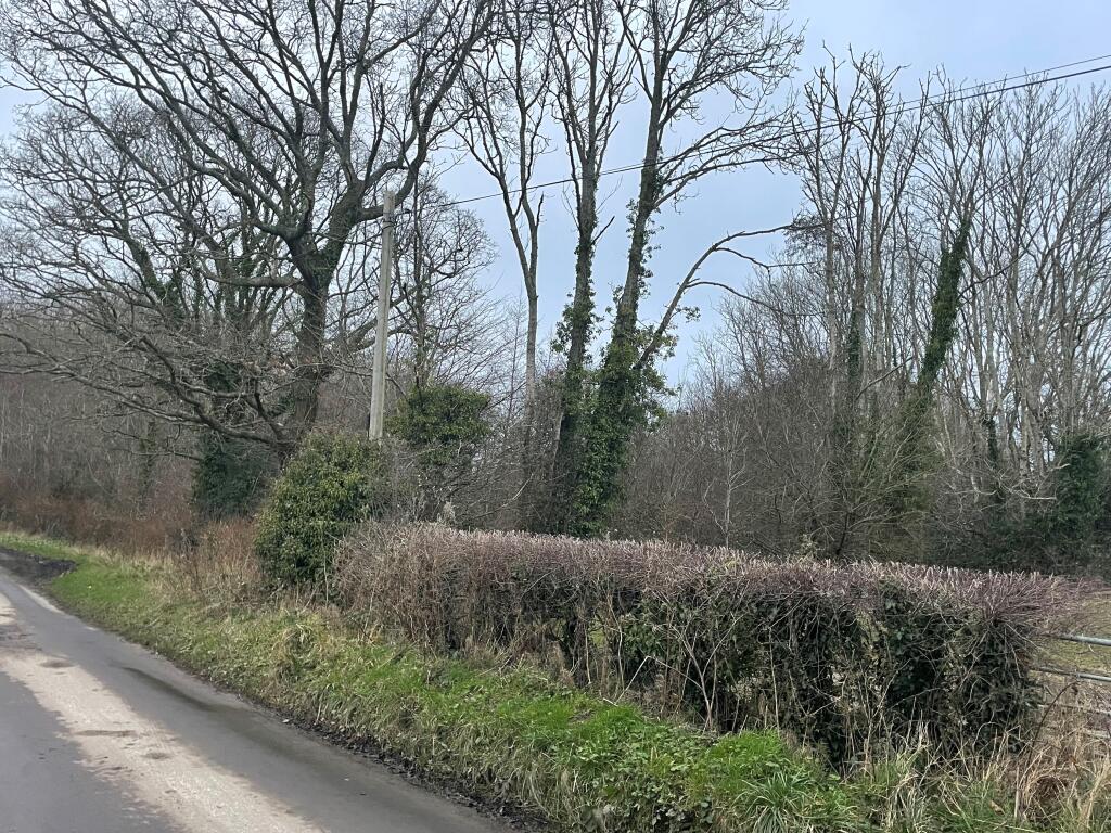 Additional image 2 of Land at Cinderford Lane, East Sussex, BN27 4HL