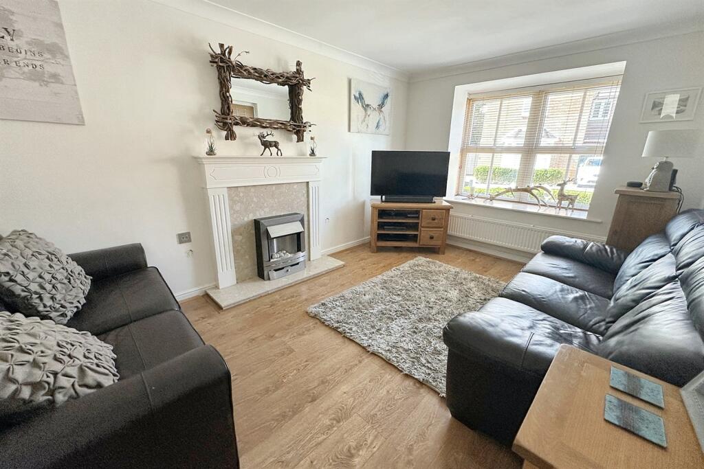 Additional image 2 of Camelias