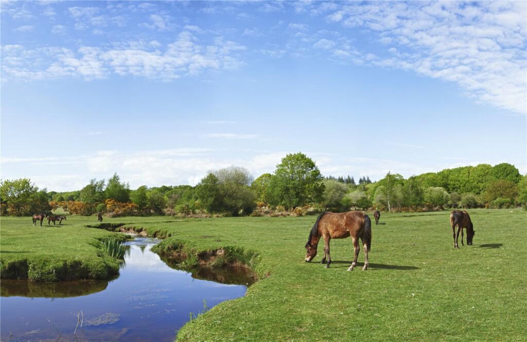 Additional image 15 of Vincent Road, New Milton, Hampshire, BH25