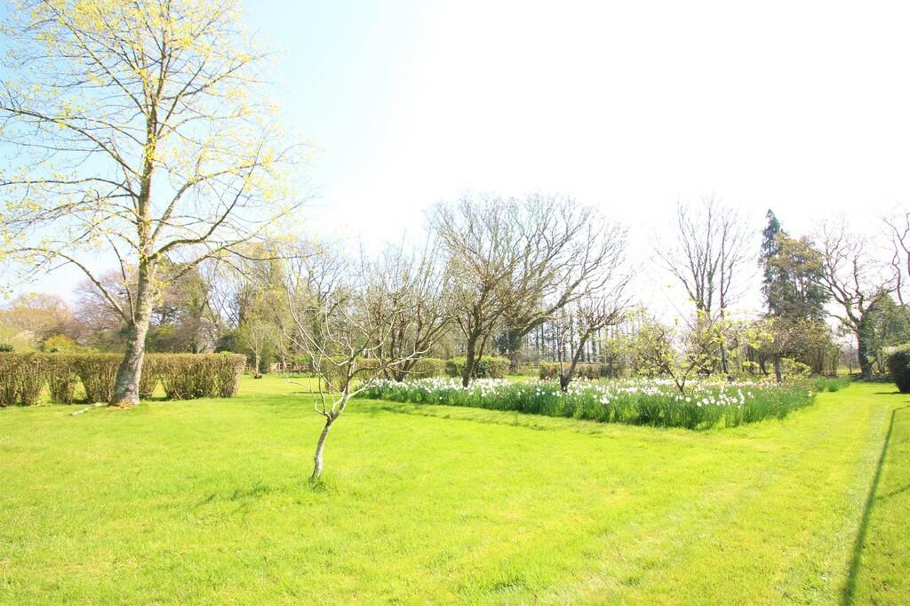 Additional image 19 of Wootton, New Forest