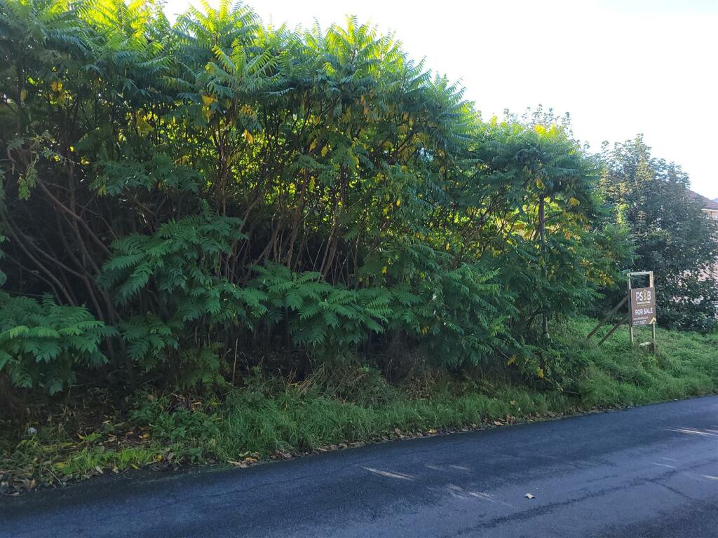 Additional image 6 of Sutton Drove, Seaford