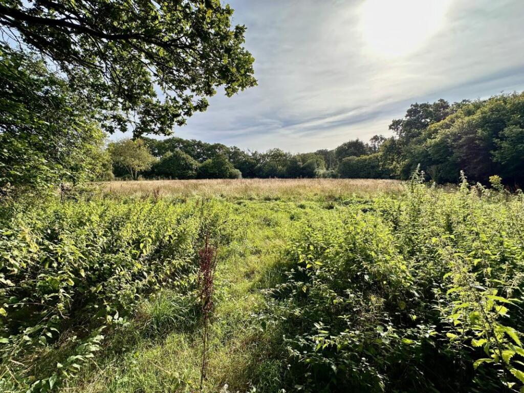 Additional image 5 of Land at Colehill Lane, Wimborne, Dorset, BH21 7AP
