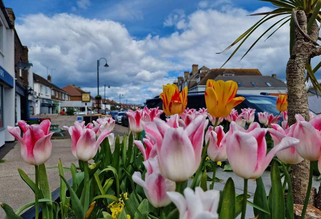 Additional image 28 of Harrison Crescent, Littlehampton, West Sussex