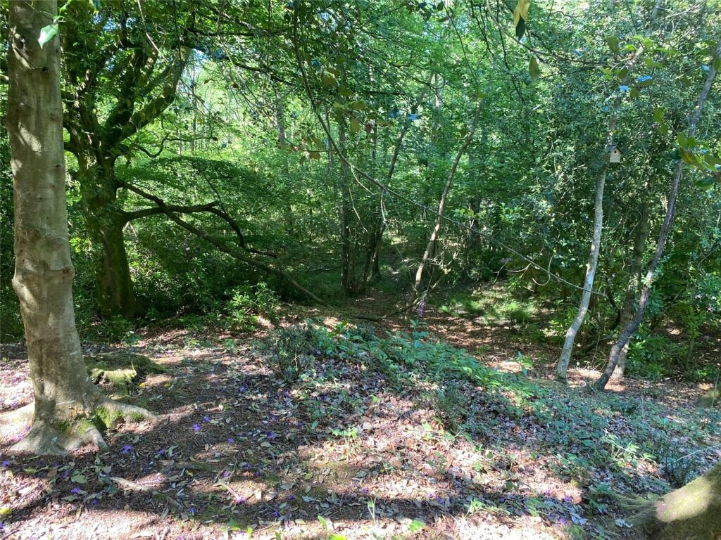 Additional image 6 of South Drive, Ossemsley, New Milton, Hampshire, BH25