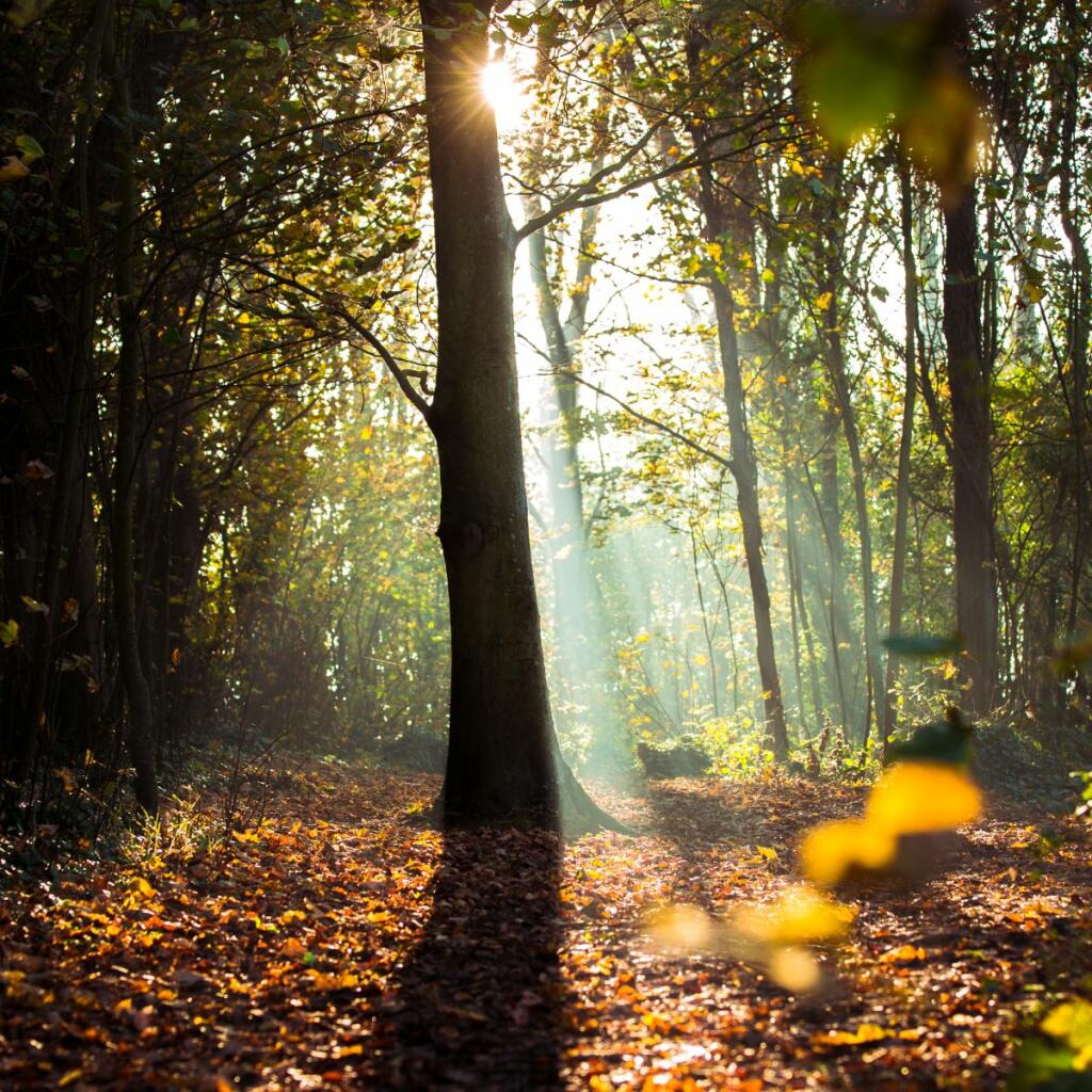 Additional image 2 of Jevington Road, Eastbourne