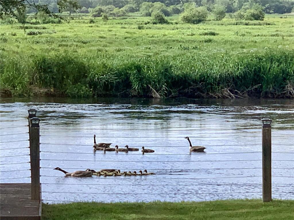 Additional image 20 of Windmill Lane, Ringwood, Dorset, BH24