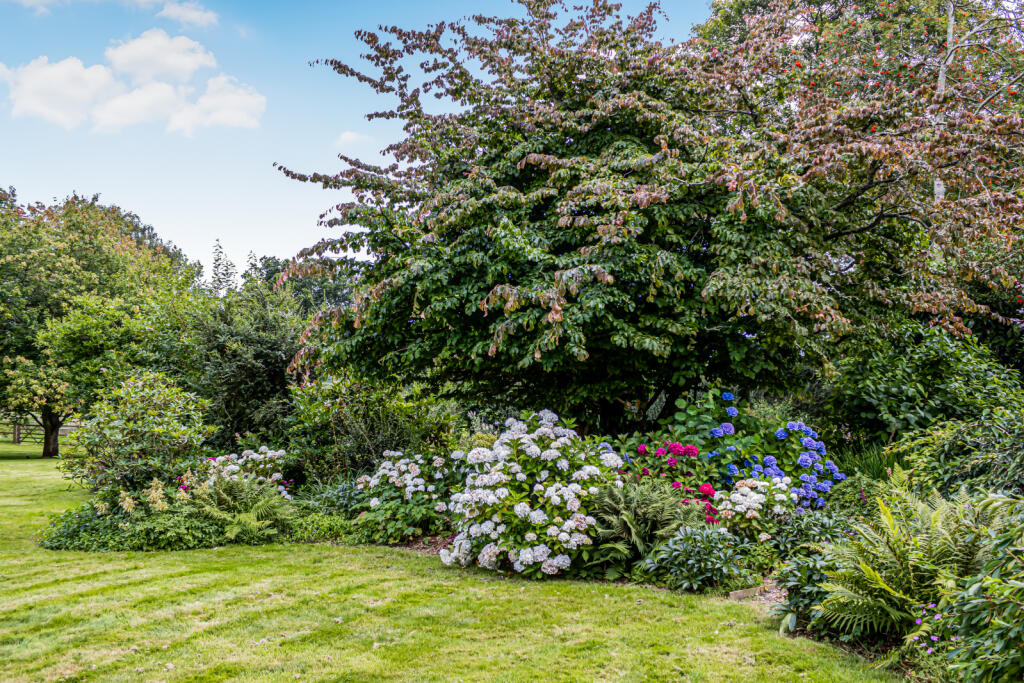 Additional image 34 of Tyrells Lane, Burley, Ringwood, Hampshire, BH24
